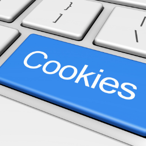 internet cookies on Google